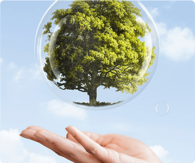 Shaping a Sustainable Future: Decoding the ESG Factors